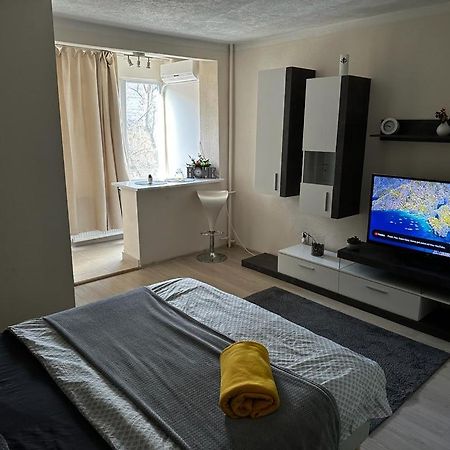 Reeas Apartament Timişoara Extérieur photo