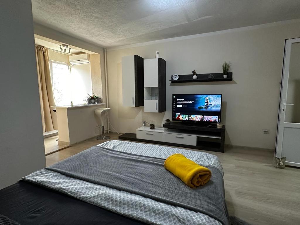 Reeas Apartament Timişoara Extérieur photo