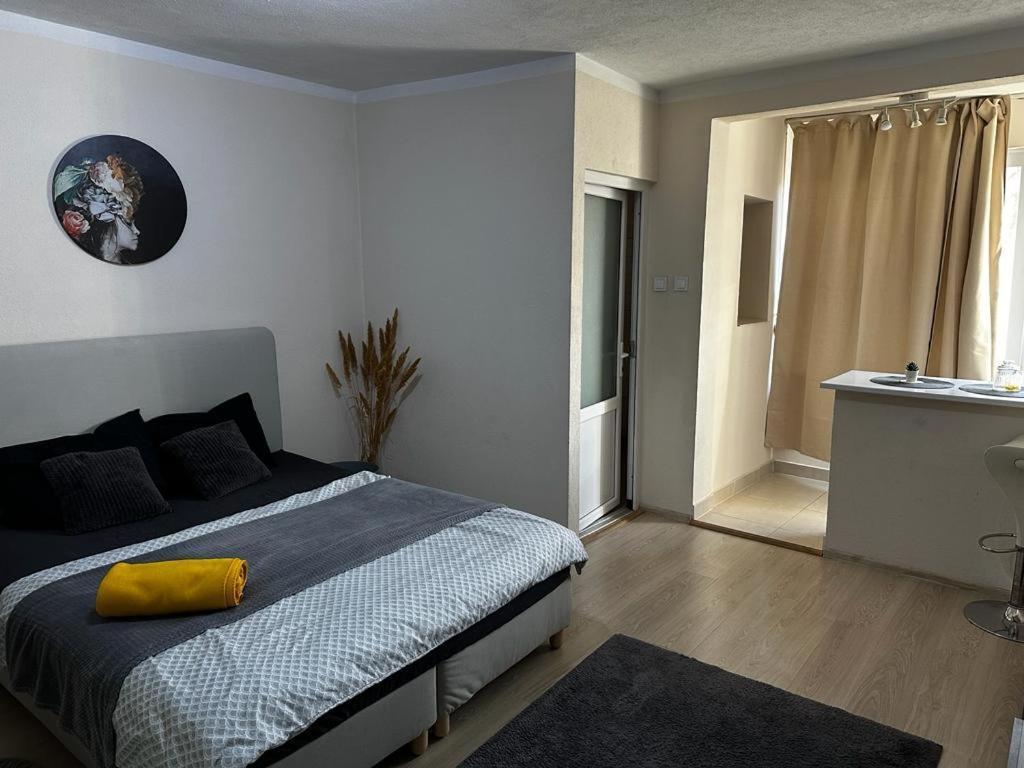 Reeas Apartament Timişoara Extérieur photo