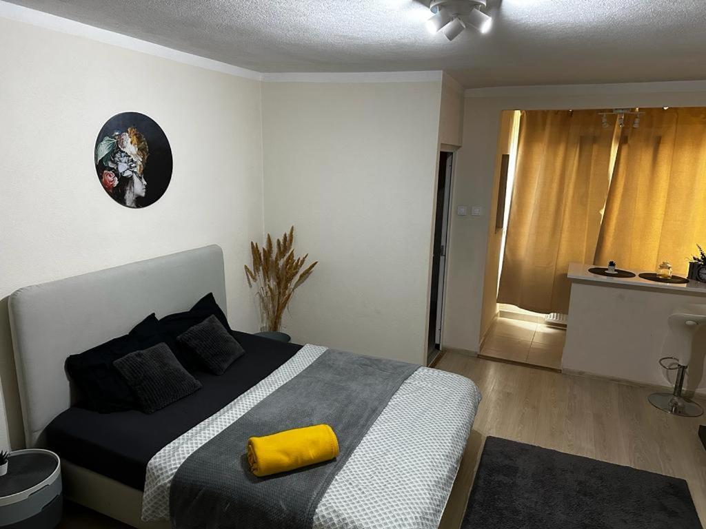 Reeas Apartament Timişoara Extérieur photo