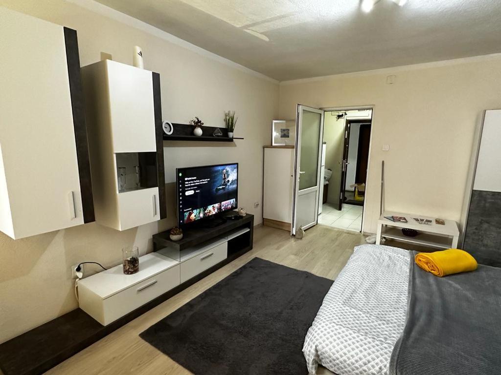 Reeas Apartament Timişoara Extérieur photo