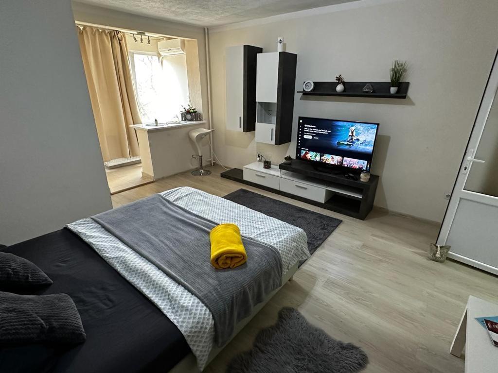Reeas Apartament Timişoara Extérieur photo