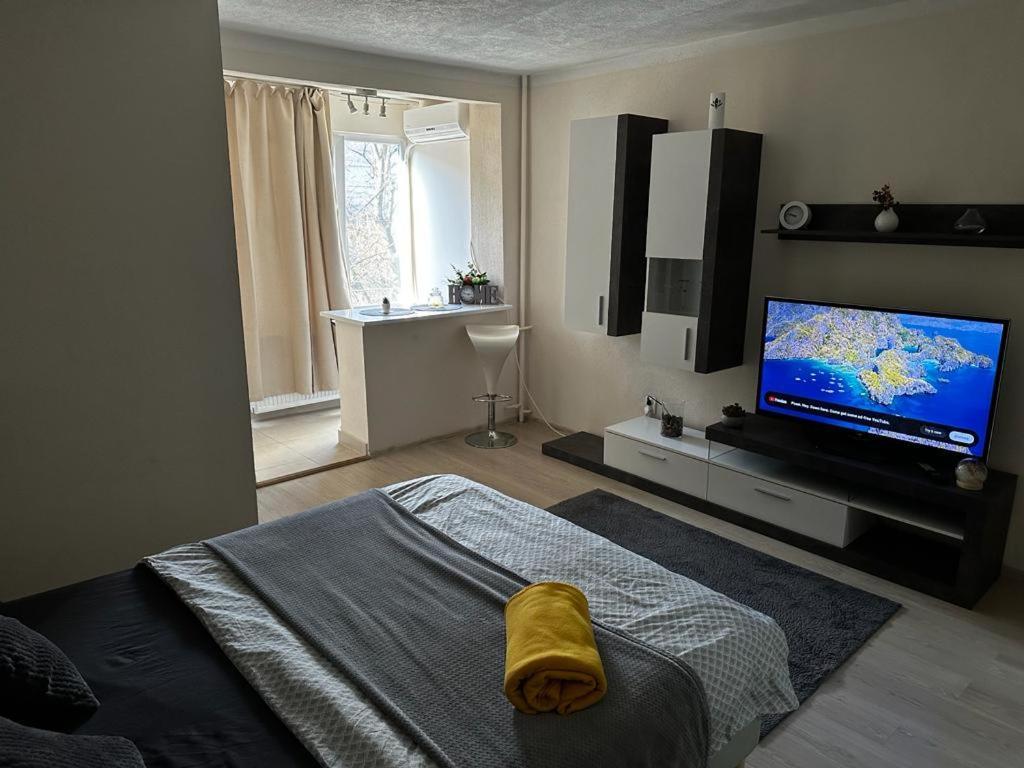 Reeas Apartament Timişoara Extérieur photo