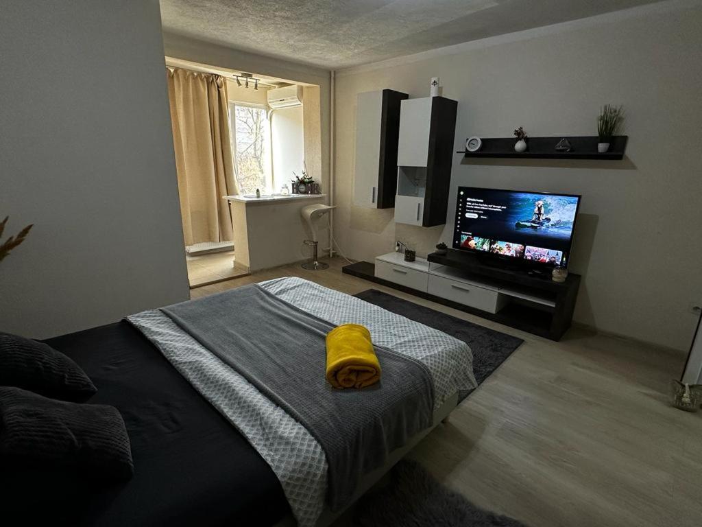 Reeas Apartament Timişoara Extérieur photo