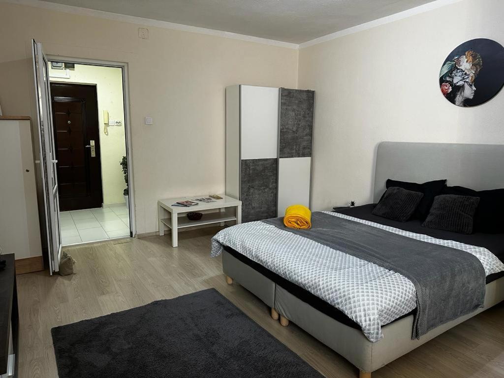 Reeas Apartament Timişoara Extérieur photo